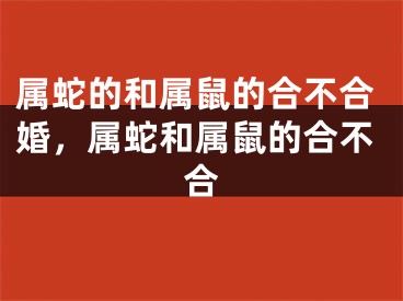 属蛇的和属鼠的合不合婚，属蛇和属鼠的合不合