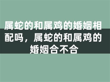 属蛇的和属鸡的婚姻相配吗，属蛇的和属鸡的婚姻合不合