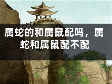 属蛇的和属鼠配吗，属蛇和属鼠配不配