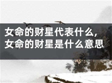 女命的财星代表什么,女命的财星是什么意思