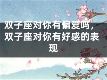 双子座对你有偏爱吗，双子座对你有好感的表现