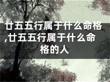 廿五五行属于什么命格,廿五五行属于什么命格的人