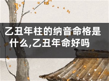 乙丑年柱的纳音命格是什么,乙丑年命好吗