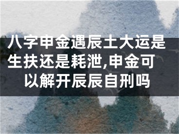 八字申金遇辰土大运是生扶还是耗泄,申金可以解开辰辰自刑吗