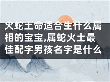 火蛇土命适合生什么属相的宝宝,属蛇火土最佳配字男孩名字是什么