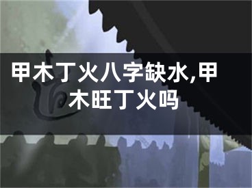 甲木丁火八字缺水,甲木旺丁火吗