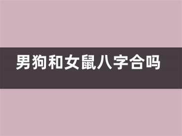 男狗和女鼠八字合吗