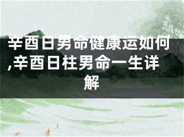 辛酉日男命健康运如何,辛酉日柱男命一生详解