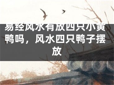 易经风水有放四只小黄鸭吗，风水四只鸭子摆放