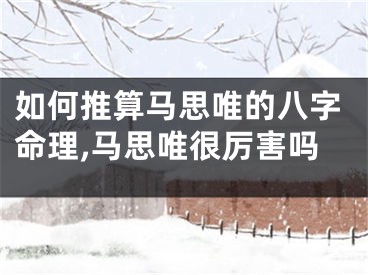 如何推算马思唯的八字命理,马思唯很厉害吗