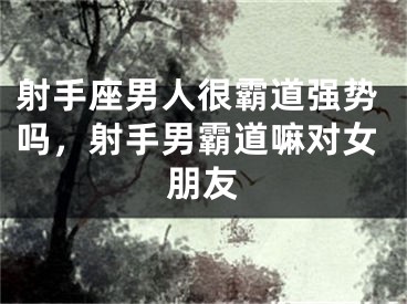 射手座男人很霸道强势吗,射手男霸道嘛对女朋友