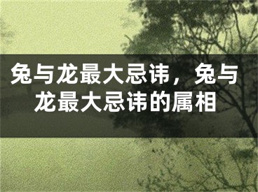 兔与龙最大忌讳，兔与龙最大忌讳的属相