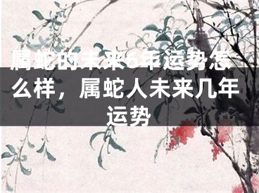 属蛇的未来6年运势怎么样，属蛇人未来几年运势