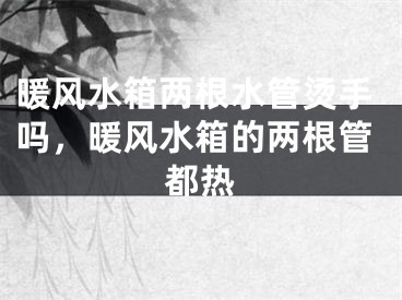 暖风水箱两根水管烫手吗，暖风水箱的两根管都热