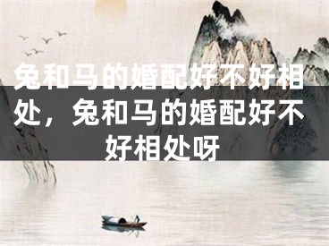 兔和马的婚配好不好相处，兔和马的婚配好不好相处呀