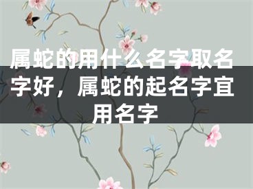 属蛇的用什么名字取名字好，属蛇的起名字宜用名字