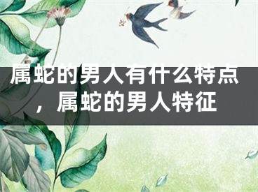 属蛇的男人有什么特点,属蛇的男人特征