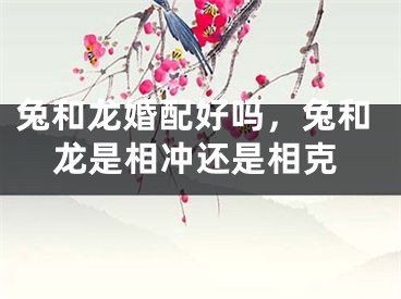 兔和龙婚配好吗,兔和龙是相冲还是相克