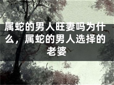 属蛇的男人旺妻吗为什么，属蛇的男人选择的老婆