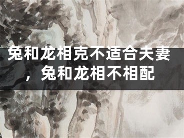 兔和龙相克不适合夫妻，兔和龙相不相配