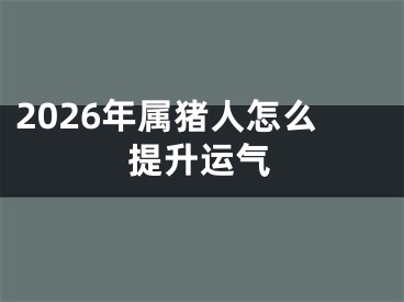 2026年属猪人怎么提升运气