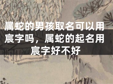 属蛇的男孩取名可以用宸字吗,属蛇的起名用宸字好不好