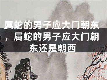 属蛇的男子应大门朝东,属蛇的男子应大门朝东还是朝西
