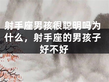 射手座男孩很聪明吗为什么,射手座的男孩子好不好
