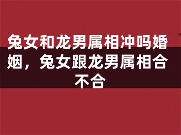 兔女和龙男属相冲吗婚姻，兔女跟龙男属相合不合