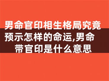 男命官印相生格局究竟预示怎样的命运,男命带官印是什么意思