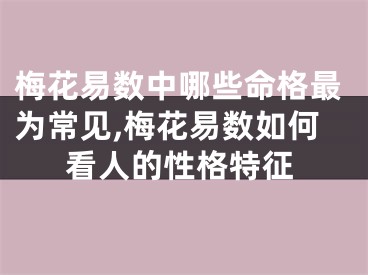 梅花易数中哪些命格最为常见,梅花易数如何看人的性格特征