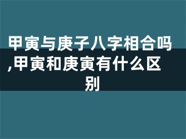 甲寅与庚子八字相合吗,甲寅和庚寅有什么区别