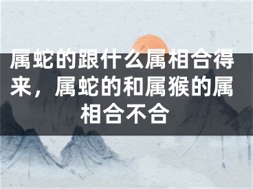 属蛇的跟什么属相合得来,属蛇的和属猴的属相合不合