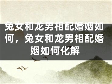兔女和龙男相配婚姻如何，兔女和龙男相配婚姻如何化解