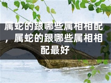 属蛇的跟哪些属相相配，属蛇的跟哪些属相相配最好