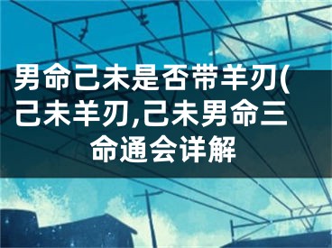 男命己未是否带羊刃(己未羊刃,己未男命三命通会详解
