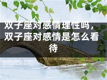 双子座对感情理性吗，双子座对感情是怎么看待