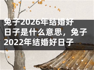 兔子2026年结婚好日子是什么意思,兔子2022年结婚好日子