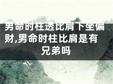 男命时柱透比肩下坐偏财,男命时柱比肩是有兄弟吗