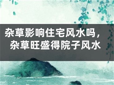 杂草影响住宅风水吗,杂草旺盛得院子风水