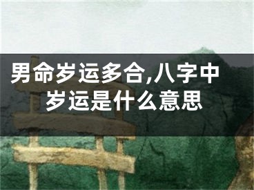男命岁运多合,八字中岁运是什么意思