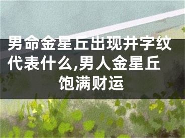男命金星丘出现井字纹代表什么,男人金星丘饱满财运