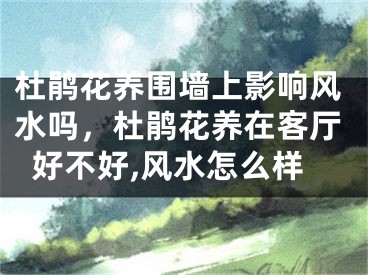 杜鹃花养围墙上影响风水吗，杜鹃花养在客厅好不好,风水怎么样