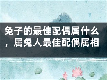 兔子的最佳配偶属什么,属兔人最佳配偶属相