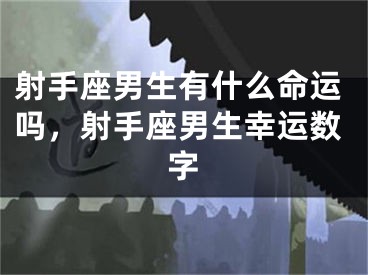 射手座男生有什么命运吗，射手座男生幸运数字