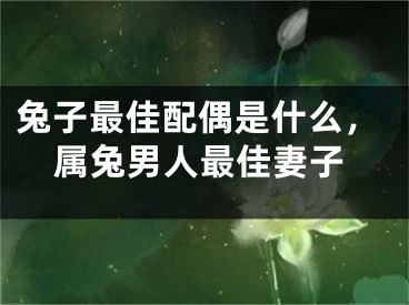 兔子最佳配偶是什么,属兔男人最佳妻子