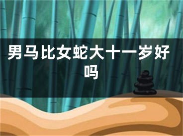 男马比女蛇大十一岁好吗