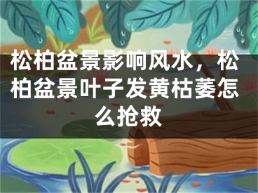 松柏盆景影响风水,松柏盆景叶子发黄枯萎怎么抢救