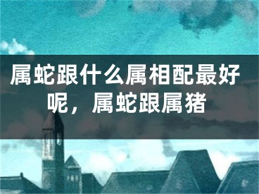 属蛇跟什么属相配最好呢，属蛇跟属猪