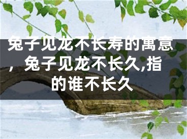 兔子见龙不长寿的寓意,兔子见龙不长久,指的谁不长久